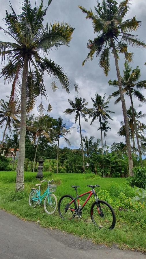 Nana Villas Sidemen Sidemen (Bali) Exterior foto